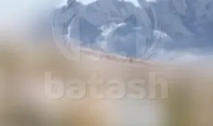 Украинские беспилотники атаковали "Газпром нефтехим Салават"