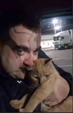 Дальнобойщик развёлся с женой из-за кота