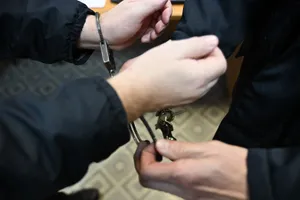 Суд арестовал учителя по игре на балалайке из Екатеринбурга, который душил детей пакетом