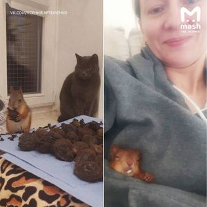 Петербурженка устроила у себя в квартире приют для белок