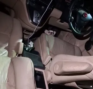 Россиянка оставила собаку в машине на жаре в Таиланде — теперь ей грозит спецтюрьма