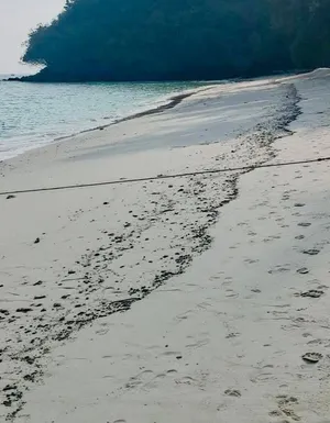 На Пхукете к курортным точкам прибило сгустки мазута