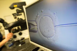 Вдовам бойцов СВО отказывают в процедуре ЭКО с замороженными эмбрионами