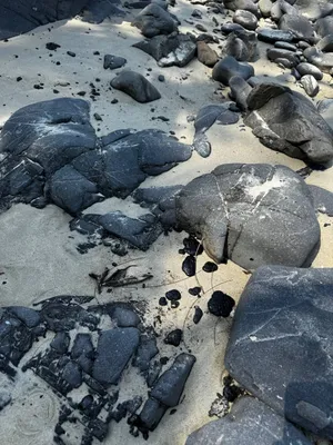 Путешественники пожаловались на сгустки мазута вблизи основных туристических мест Пхукета