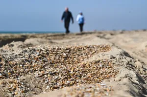 Пляжи Анапы готовы открыть к сезону, но есть нюансы