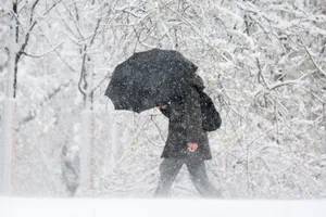 Москву накрыл сильный снегопад