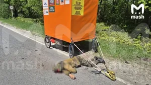 Путешественник Саша Конь погиб от дрона в Брянской области