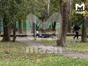 На западе Москвы мужчину убило рухнувшим от ветра деревом