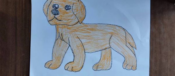 11-летняя девочка из посёлка Оленевод живёт с редким кожным заболеванием