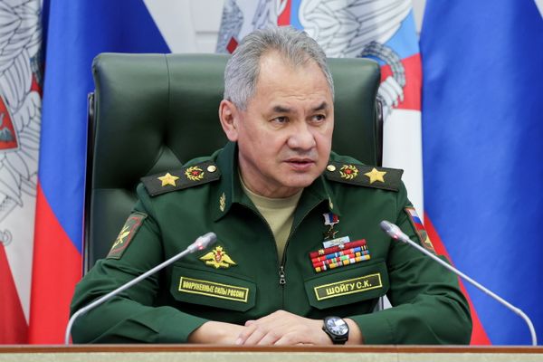 Шойгу назвал глупостью дополнительную мобилизацию для создания "санитарной зоны"
