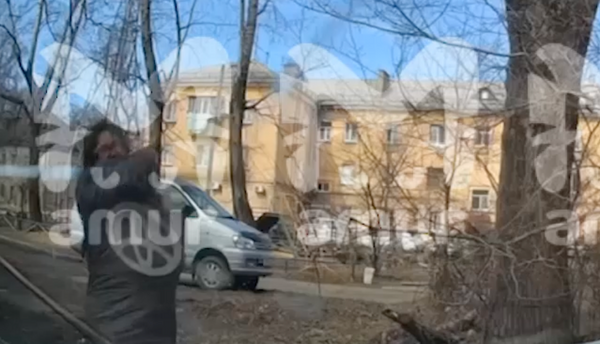 Пенсионерка из Хабаровска закидала машину соседки камнями