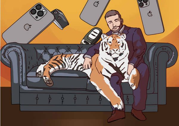 Бендер с маркетплейса: как мошенник родом из Дагестана обманывал петербуржцев и почти всегда избегал наказания