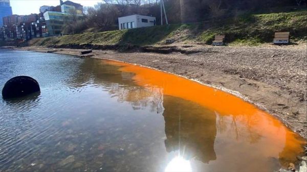 Море у берегов Владивостока окрасилось в ржавый цвет