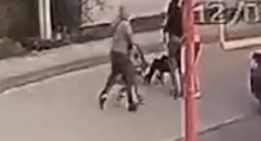 Момент похищения людей в Искитимском районе попал на видео