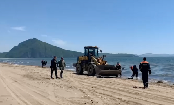 Топливное пятно на пляже Находки начали убирать