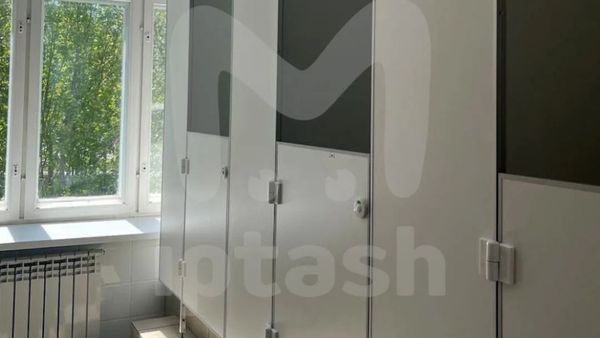 В Татарстане в одной из гимназий перед ЕГЭ появились открытые туалетные кабинки