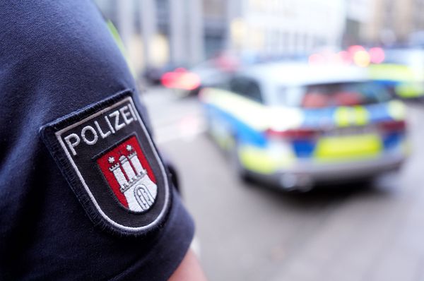В Германии неизвестный мужчина напал на политика, критикующего ислам