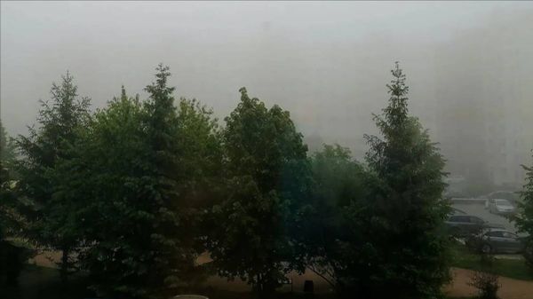 Самолёты не смогли сесть в Новосибирске и Кемерово из-за утреннего тумана