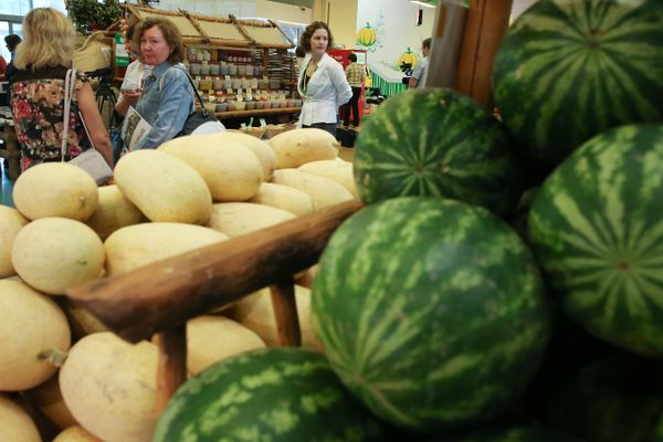Арбузы и дыни из южных регионов России подорожают минимум на 15%