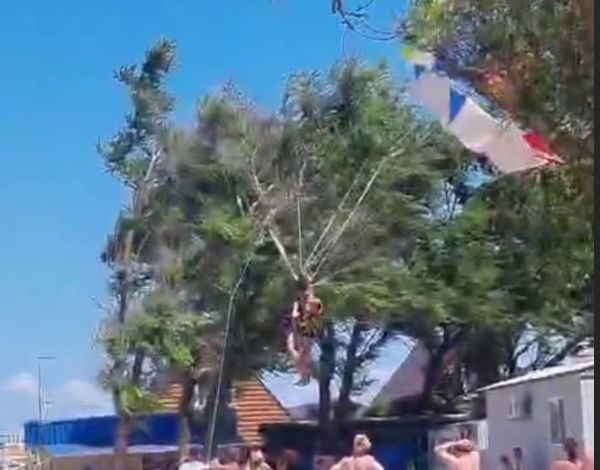 На пляже в Краснодарском крае туристы на парашюте застряли на дереве
