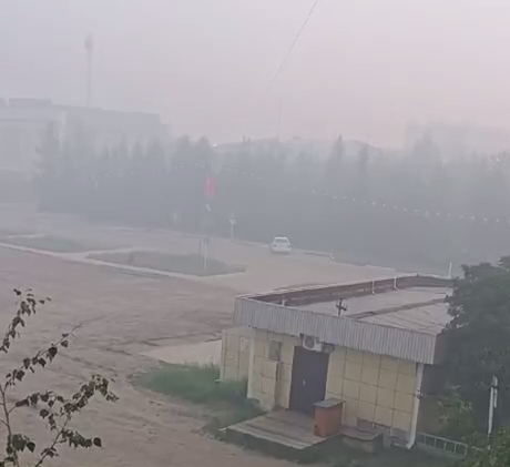 Из-за мощнейших пожаров в Забайкалье дикие звери начали выходить из тайги