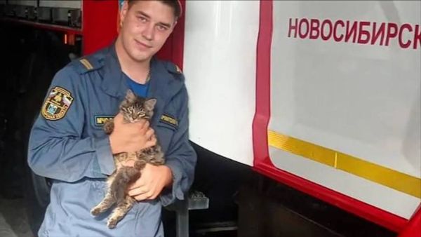 Хвостатый сотрудник МЧС работает в Новосибирске