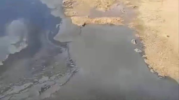 Озеро Большое Яровое затянулось химической плёнкой в Алтайском крае