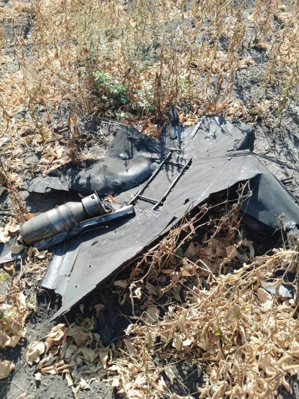 В Курской области сбили трёхметровый дрон, предварительно, это новый БПЛА "Паляниця"