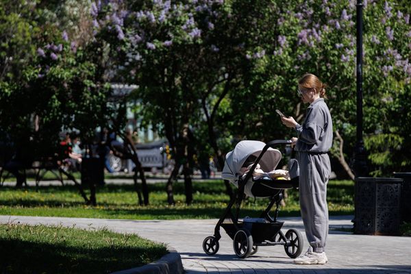 Запрет чайлдфри в России: суть нового закона, штрафы