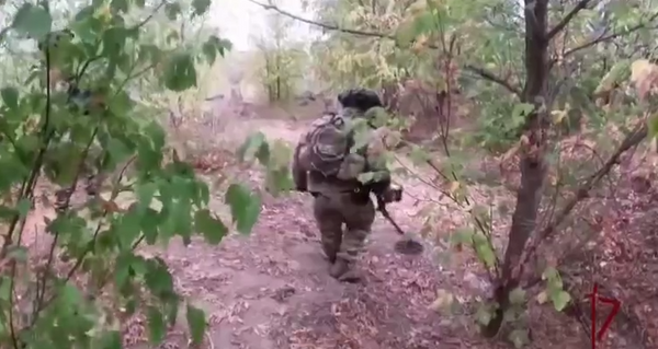 Росгвардейцы нашли взрывчатку в посадке ЛНР