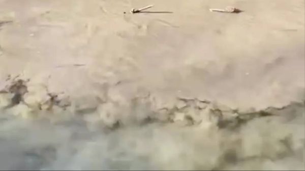 Река превратилась в мутное нечто возле золотодобывающего предприятия в Хабаровском крае