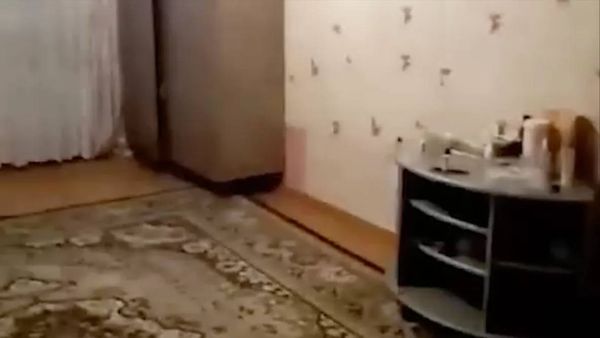 Тараканы, плесень и разваливающиеся стены получила жительница Красноярска по программе переселения
