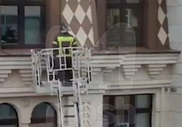 Пожарные вызволили кота с подоконника пентхауса элитного ЖК в Петербурге