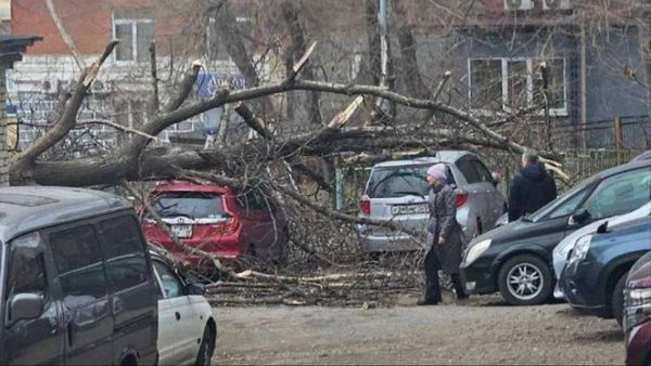 Штормовой ветер бушует во Владивостоке