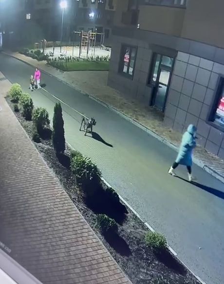 В краснодарском ЖК собака набрасывается на детей и питомцев, жители пожаловались в прокуратуру