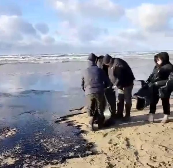 В Краснодарском крае ожидают новых масштабных выбросов мазута на побережье