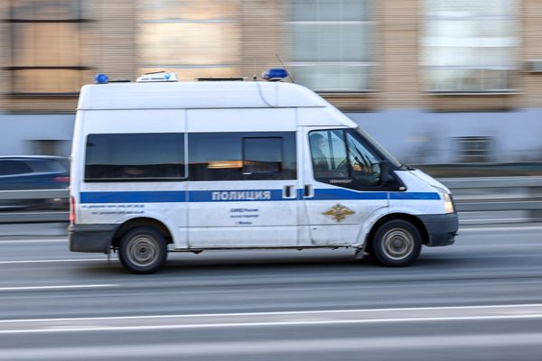 https://static.mash.ru/unsafe/rs:fit:600/czM6Ly9tYXNoL2ltYWdlLzIwMjUtMDQtMTcvNTZiNWQ4OTMtNzRjMC00YmQyLTliY2MtMjMxZTQ1ODhlYzk5LmpwZWc