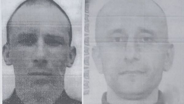 Двое заключённых сбежали из автобуса в Химках