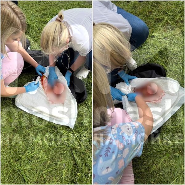 Выброшенную из окна на дороге в Ленобласти новорождённую девочку удалось спасти