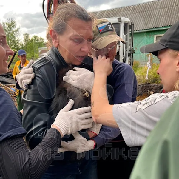 Шесть дней под завалами: котик выжил после пожара в приюте в Ленинградской области