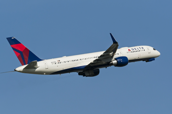 Американская авиакомпания Delta Airlines подала заявку на регистрацию товарного знака в России
