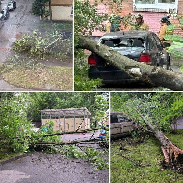 Наводнение в Петербурге: фото, видео, последние новости