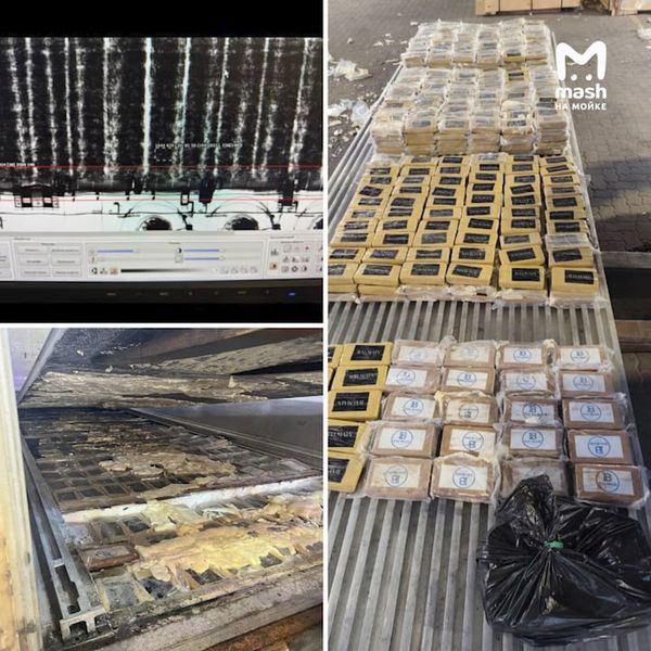 В Петербурге в грузе с бананами нашли 820 кг кокаина на 12 млрд рублей