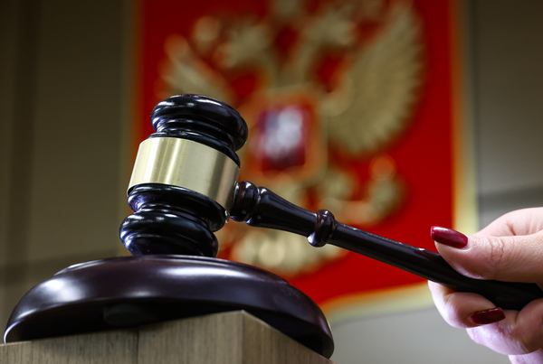Двум замгубернатора Брянской области назначили по 9 лет колонии