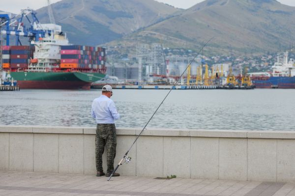 В России запретили продавать автоматические удочки для ленивых рыбаков