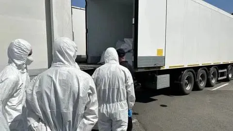 Новый обмен телами погибших между Россией и Украиной прошёл в Гомельской области