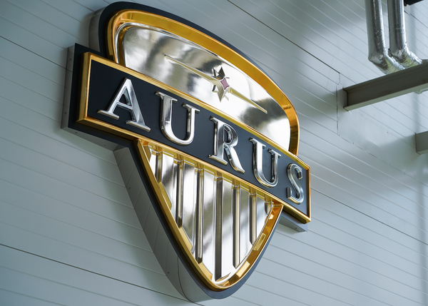 В России начнут выпускать конфеты, печенье, булочки и мороженое Aurus