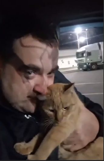Дальнобойщик развёлся с женой из-за кота