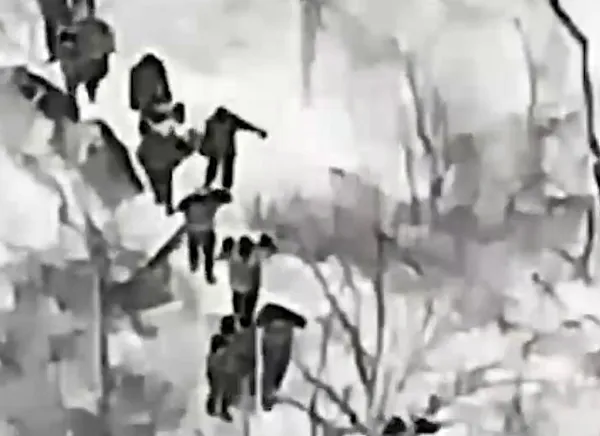 Элитные морпехи ВСУ сдались в плен ВС РФ под Покровском