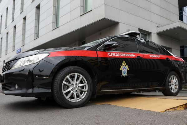 Следователи проверят сотрудников управления соцразвития Балашихи после убийства 6-летнего ребёнка